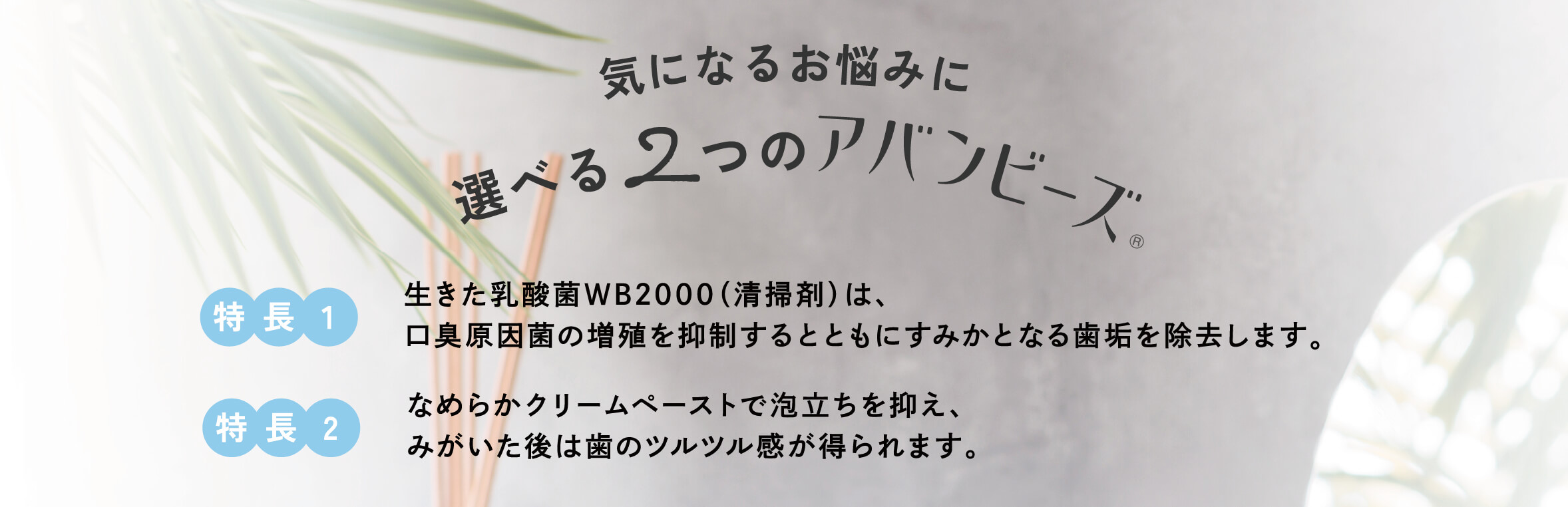 気になるお悩みに選べる2つのアバンビーズ 特長1生きた乳酸菌WB2000 (清掃剤)は、口臭原因菌の増殖を抑制するとともにすみかとなる歯垢を除去します。特長2なめらかクリームペーストで泡立ちを抑え、みがいた後は歯のツルツル感が得られます。