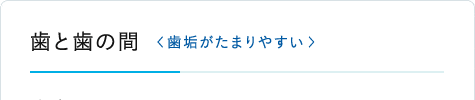 歯と歯の間＜歯垢がたまりやすい＞