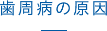 歯周病の原因