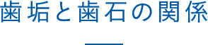 歯垢と歯石の関係