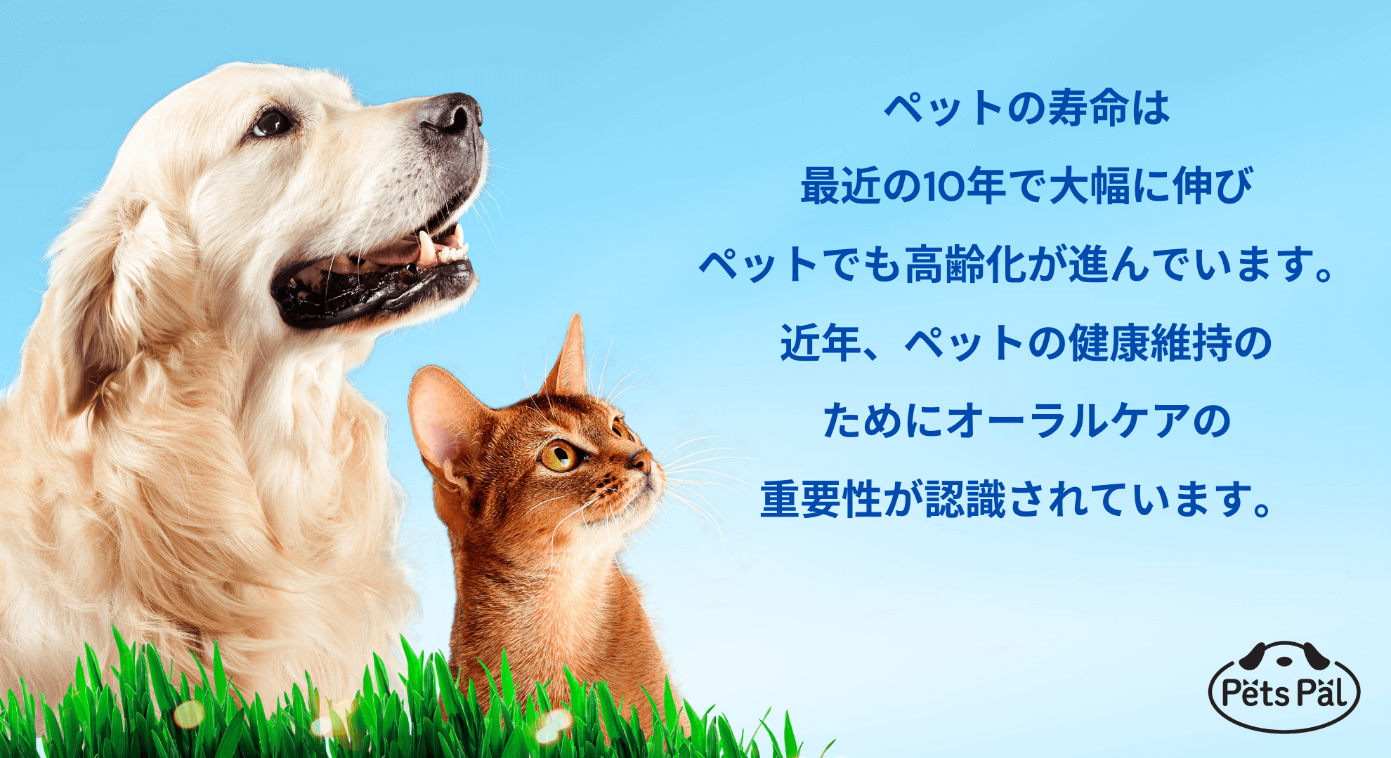 Pets Pal – ペッツパル ブランドサイト｜わかもと製薬