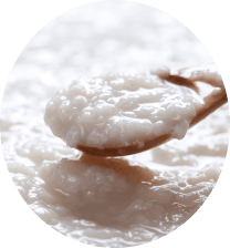 麹菌のイメージ