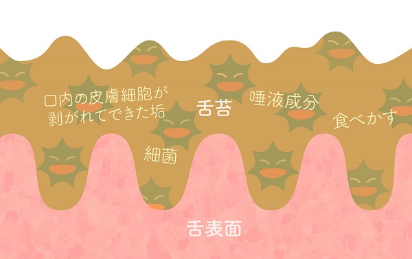口臭をケアする方法 口臭の原因になるor対策になる食べ物 飲み物も紹介 Wakanote