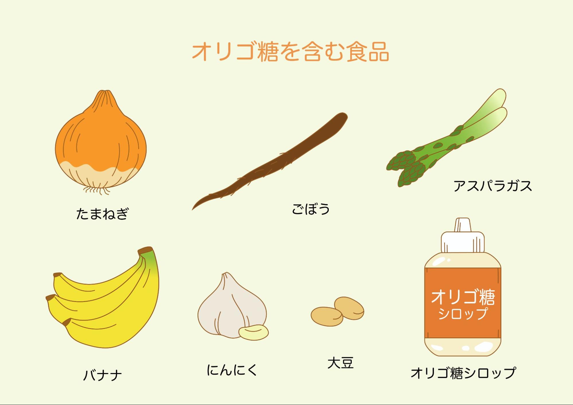 乳酸菌とは？腸における役割・ヨーグルトなど乳酸菌が摂れる食品から 