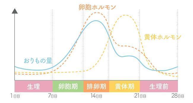 生理前と妊娠初期のおりものはどう違う おりもので気づく体調の変化と対策 Wakanote