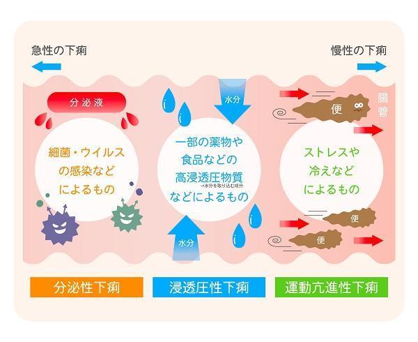 クアンド・デベス医師顧問