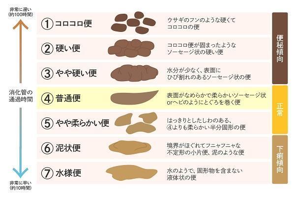 腸の調子を整える食べ物は何がいいの？, 腸内環境を整える食べ物 ランキング – EJQQ