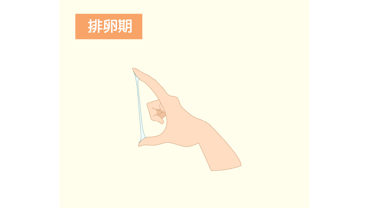 生理前と妊娠初期のおりものはどう違う おりもので気づく体調の変化と対策 Wakanote