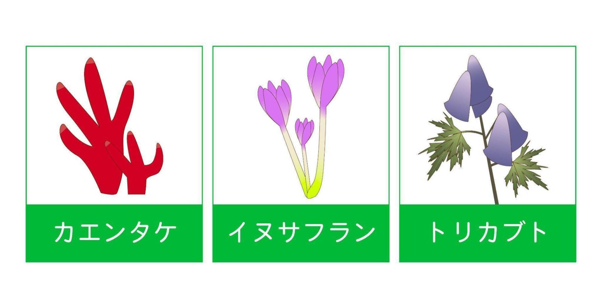 下痢(げり)や軟便を引き起こすメカニズムは?腹痛を伴う場合の原因も解説|わかもとラボ