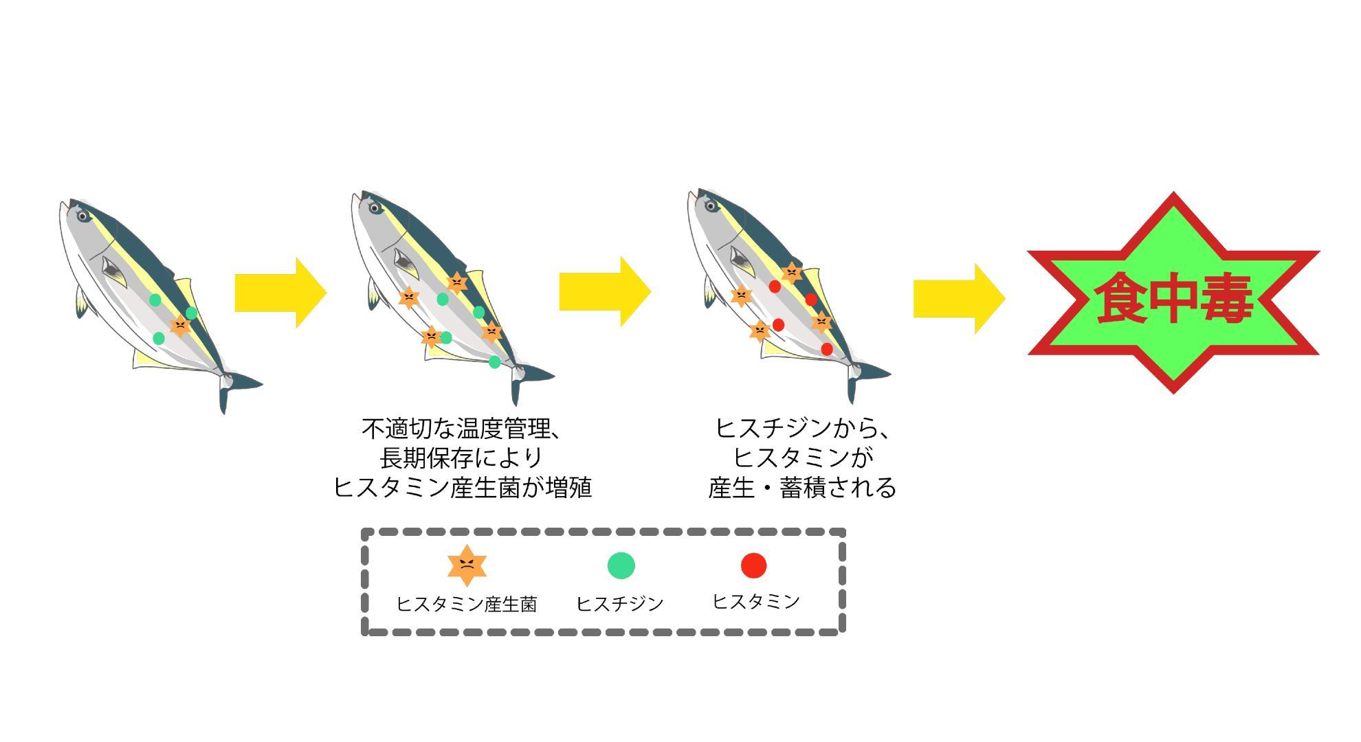 下痢(げり)や軟便を引き起こすメカニズムは?腹痛を伴う場合の原因も解説|わかもとラボ