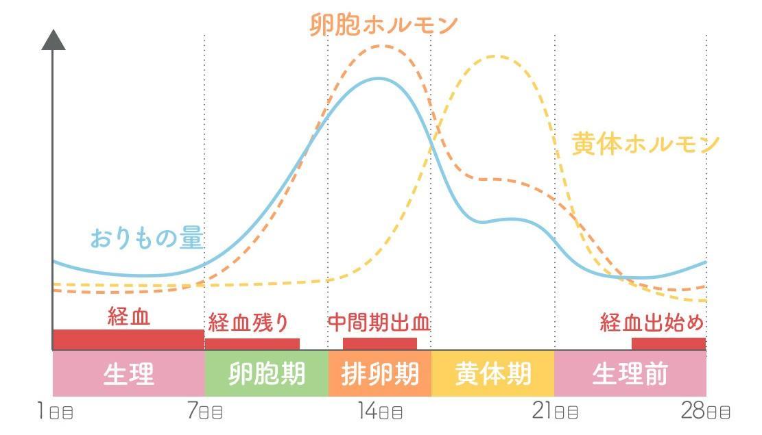 おりものが茶色いのはなぜ 生理前後や妊娠 病気のケースを徹底解説 Wakanote