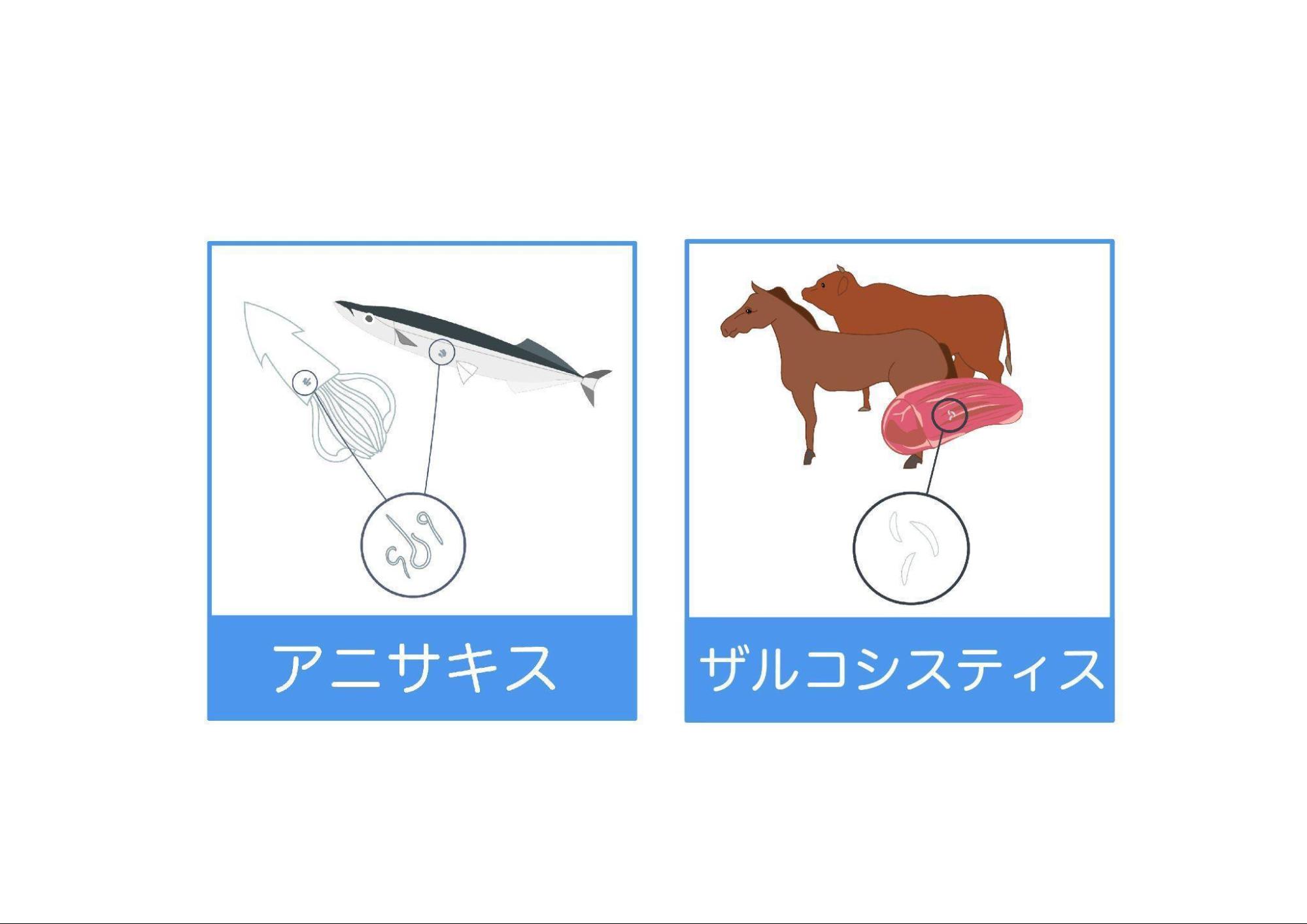 下痢(げり)や軟便を引き起こすメカニズムは?腹痛を伴う場合の原因も解説|わかもとラボ