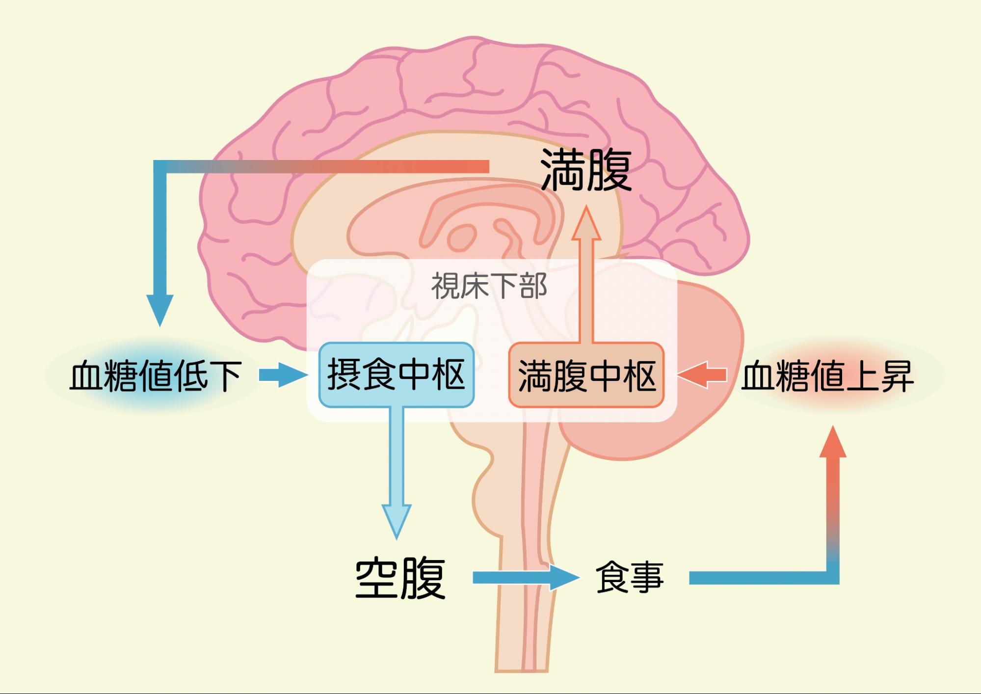 嚥下障害と嚥下障害
