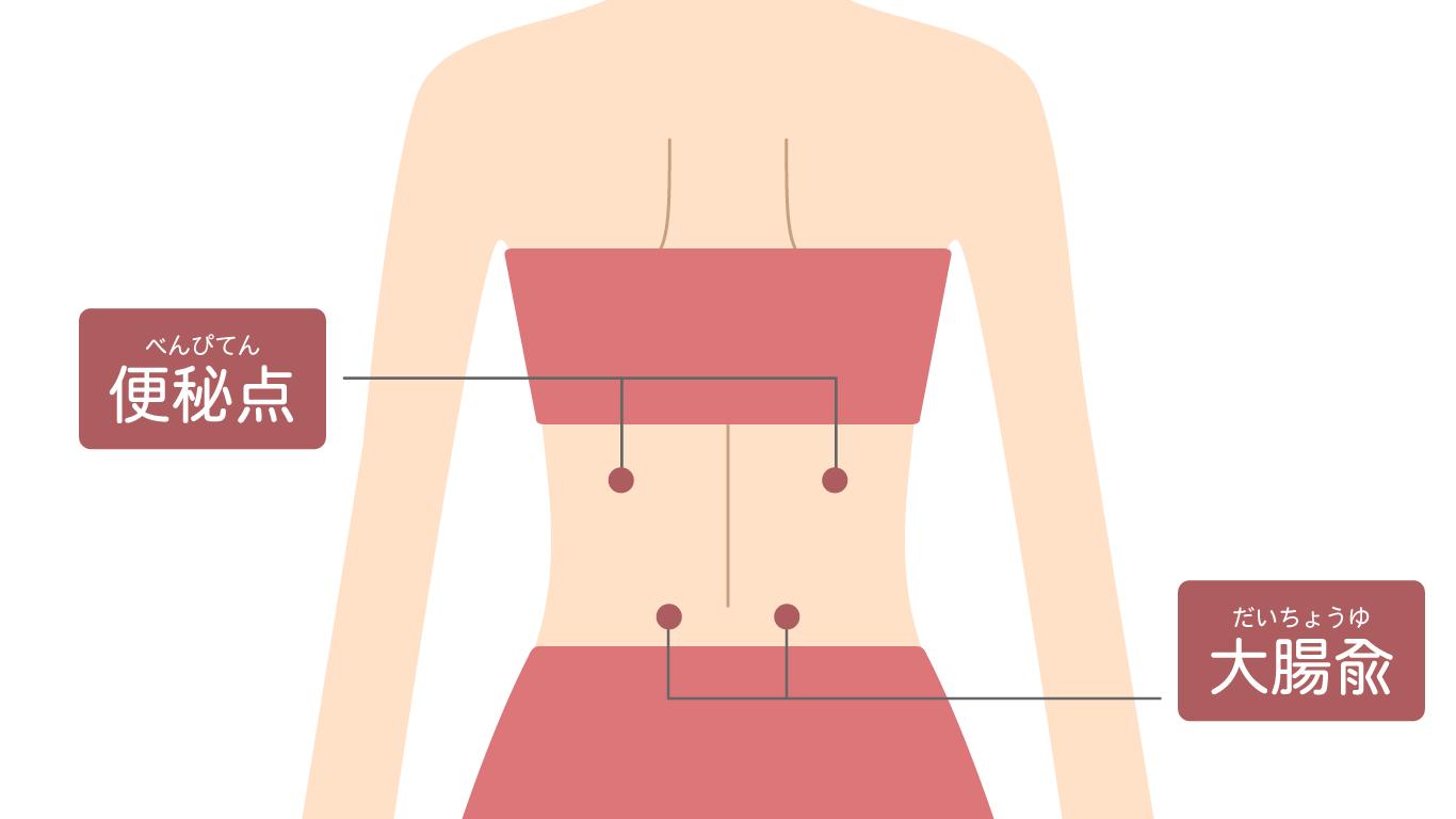  2. 背臥位の脊椎のねじれ