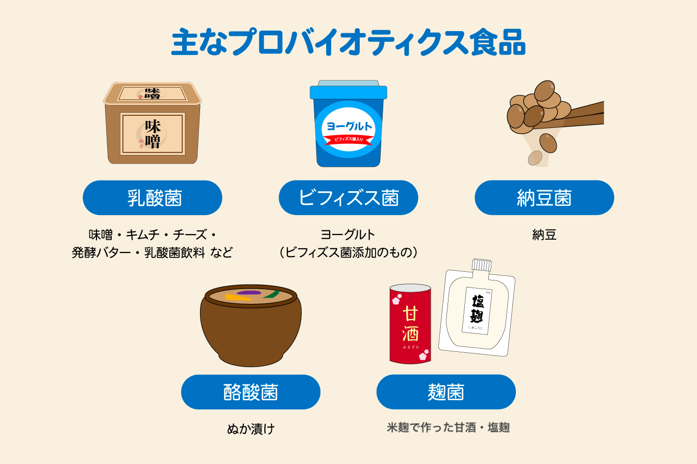 腸内環境はコレで整う！善玉菌を増やす食べ物・正しい腸活を医師が解説！｜わかもとラボ