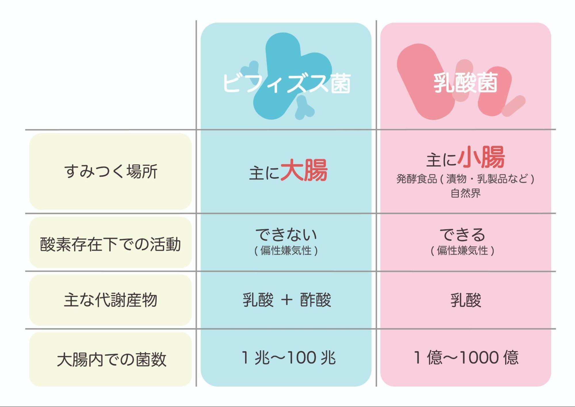 乳酸菌 合わ ない 症状