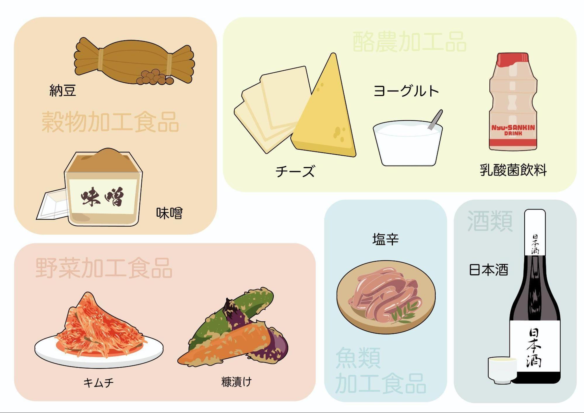 乳酸菌とは？効果や種類、乳酸菌を含む食品について医師が解説